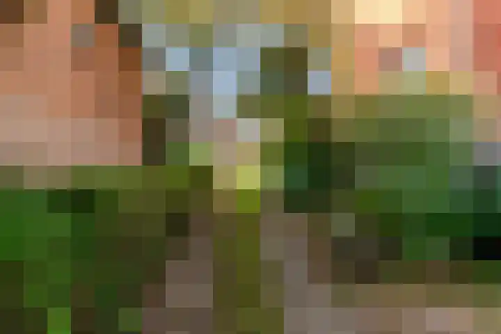 Parallelweg 22 Heelsum thumbnail 37