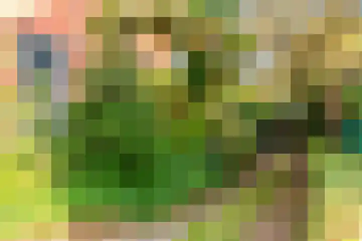 Parallelweg 22 Heelsum thumbnail 41
