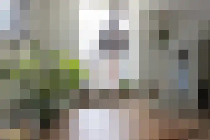 Parallelweg 22 Neede thumbnail 10