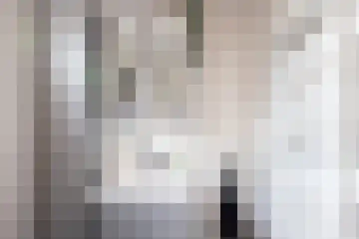 Parallelweg 22 Neede thumbnail 16