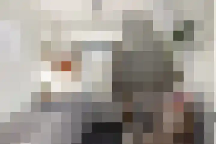Parallelweg 22 Neede thumbnail 23