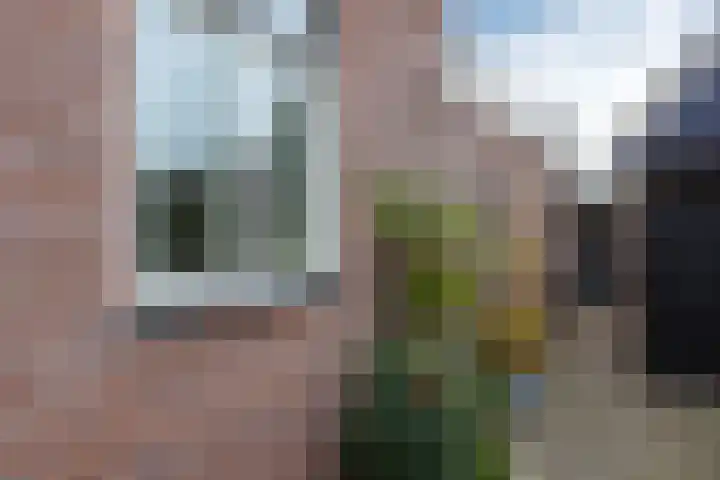 Parallelweg 22 Neede thumbnail 29