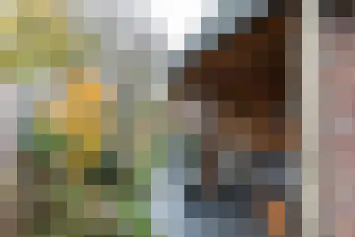 Parallelweg 22 Neede thumbnail 30