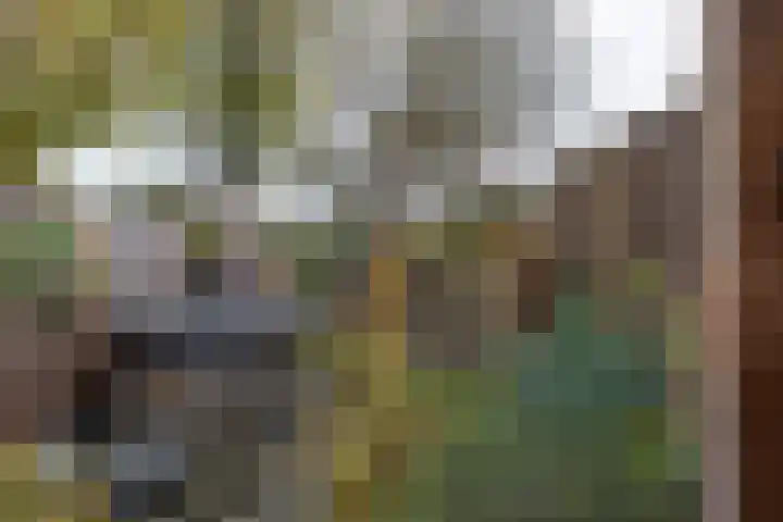 Parallelweg 22 Neede thumbnail 31