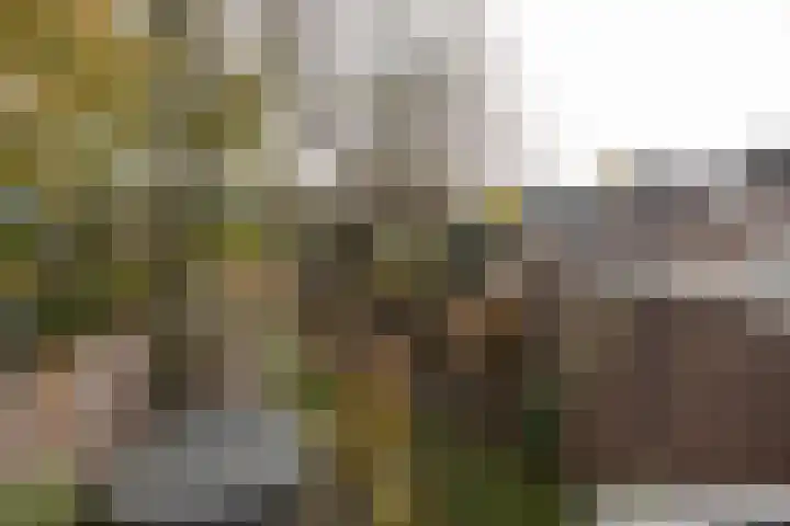 Parallelweg 22 Neede thumbnail 41