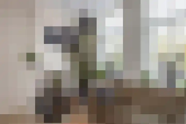 Parallelweg 22 Neede thumbnail 6