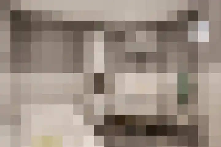Parallelweg 22 Swalmen thumbnail 16