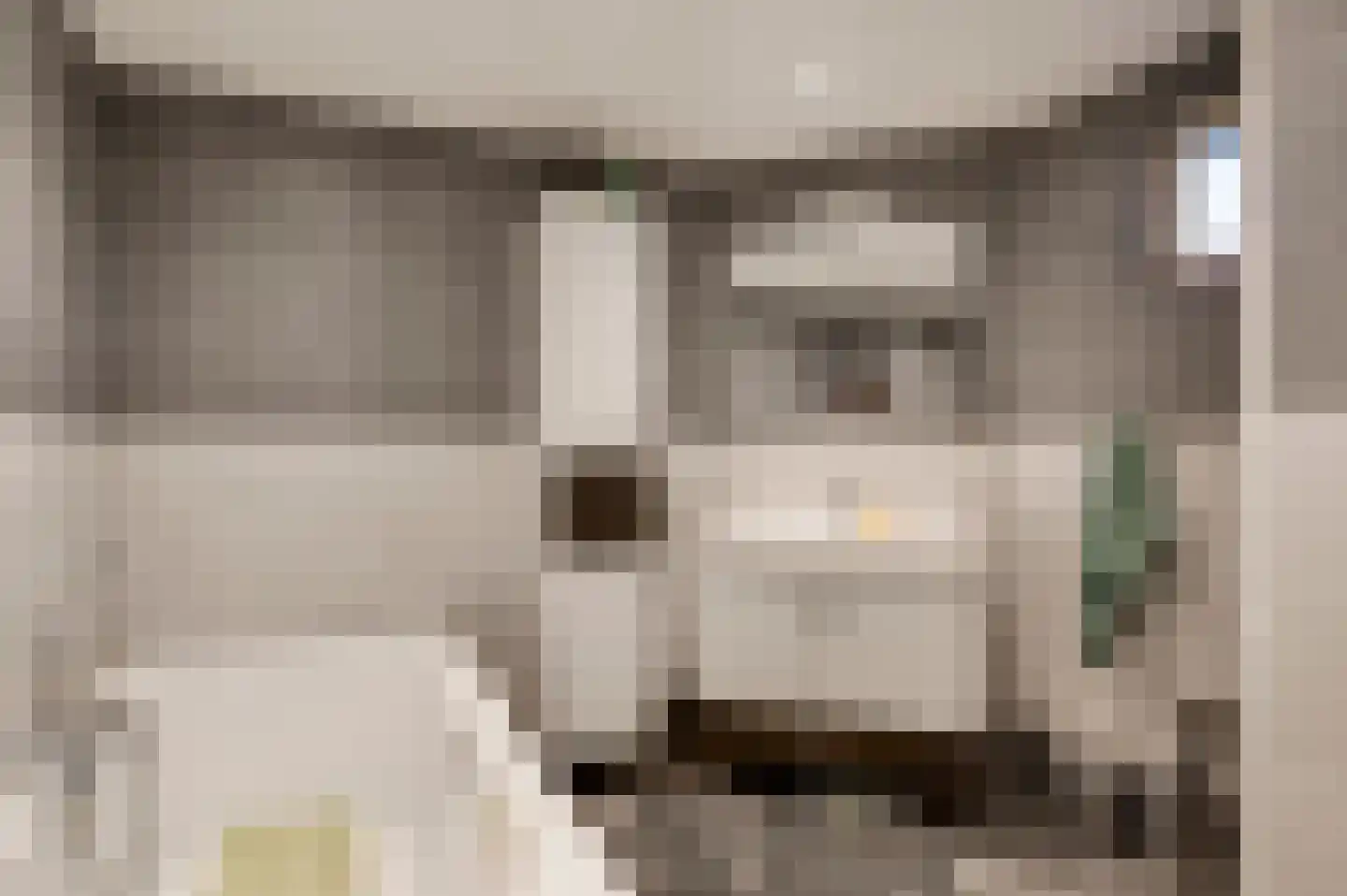 Parallelweg 22 Swalmen thumbnail 16