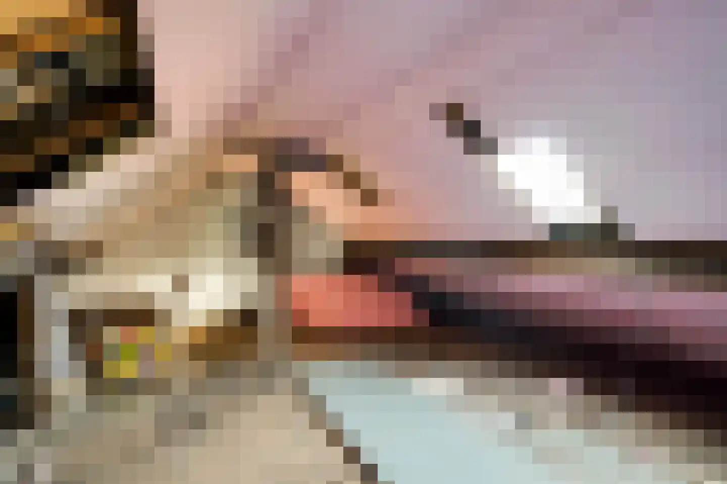 Parallelweg 22 Swalmen thumbnail 34