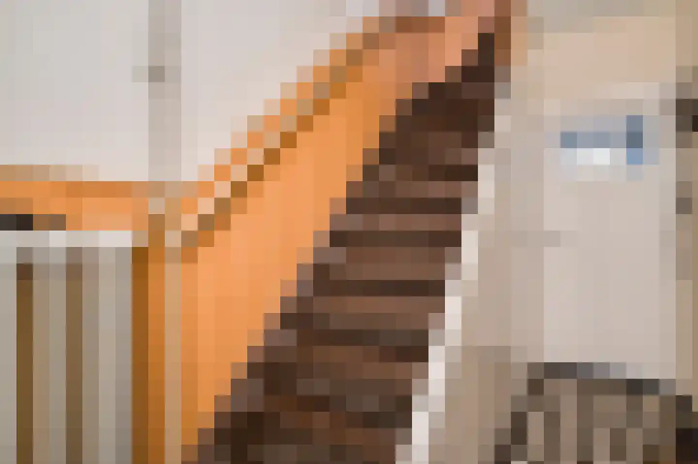 Parallelweg 22 Swalmen thumbnail 4