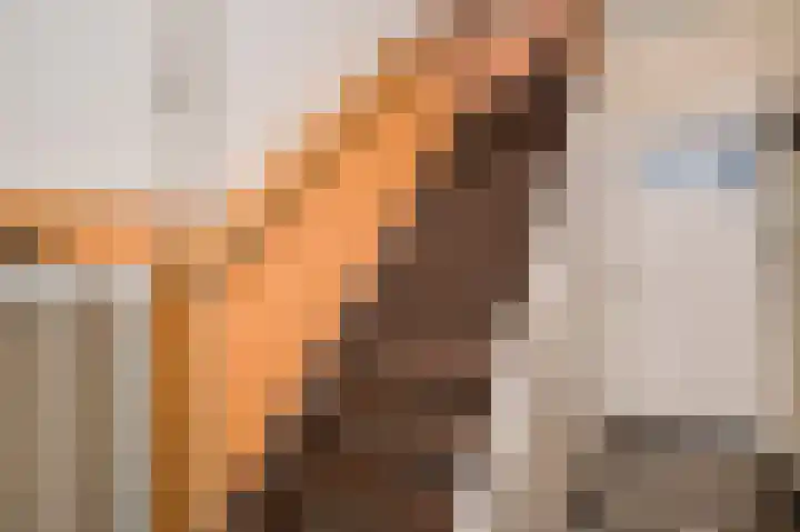 Parallelweg 22 Swalmen thumbnail 4