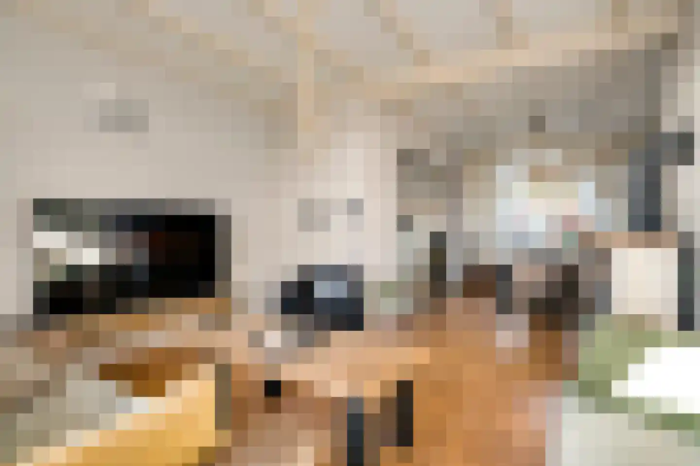 Parallelweg 22 Swalmen thumbnail 8