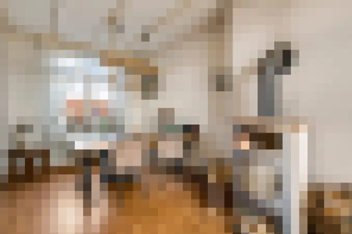 Parallelweg 22 Swalmen thumbnail 9