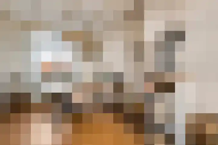 Parallelweg 22 Swalmen thumbnail 9