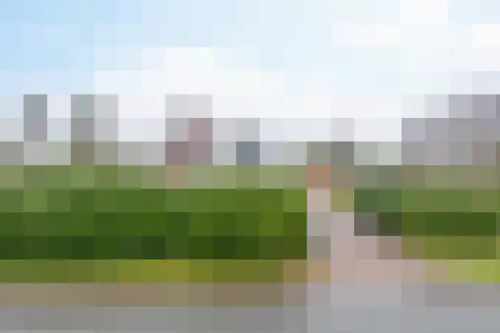 Parallelweg 23 Bellingwolde