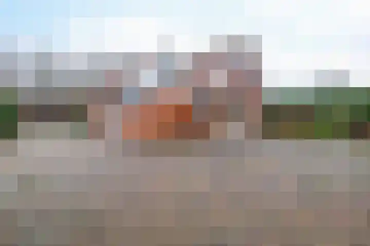 Parallelweg 23 Bellingwolde thumbnail 10