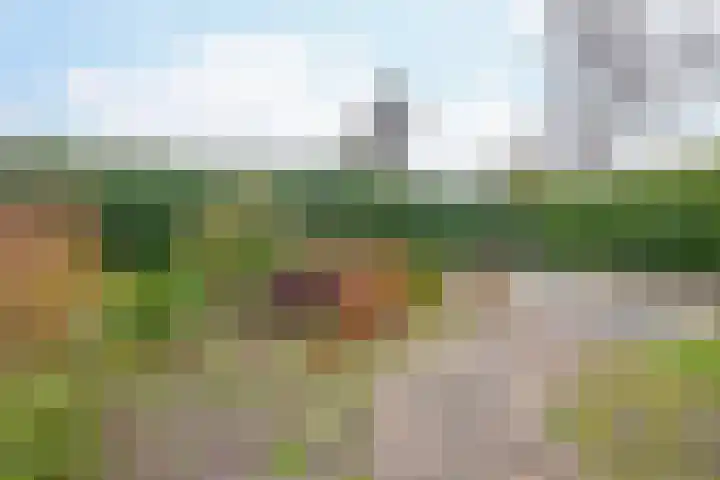 Parallelweg 23 Bellingwolde thumbnail 16