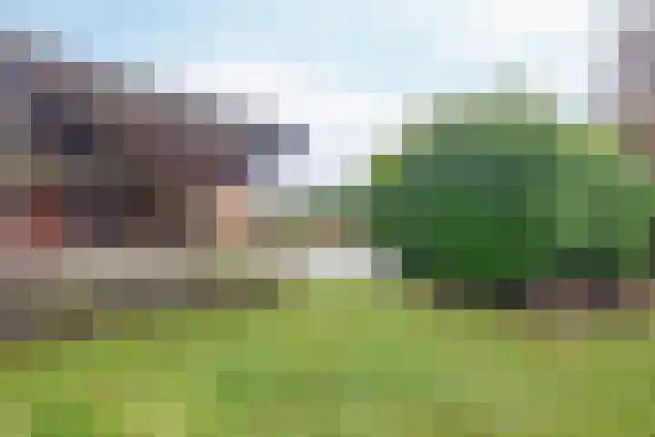 Parallelweg 23 Bellingwolde thumbnail 17