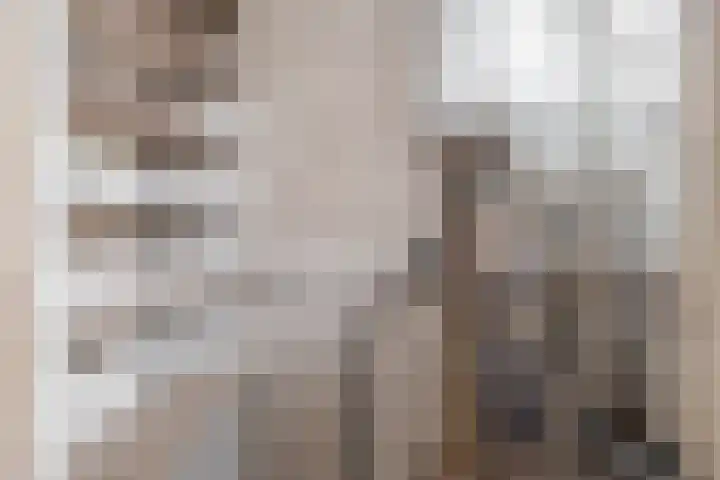 Parallelweg 23 Bellingwolde thumbnail 19