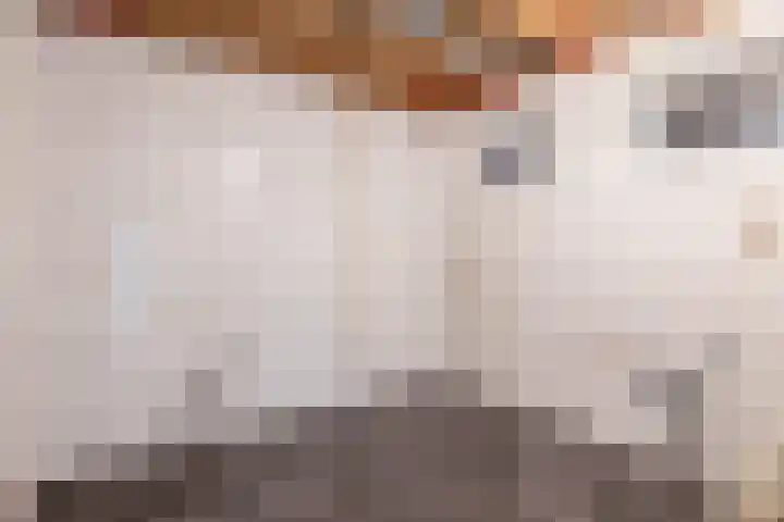 Parallelweg 23 Bellingwolde thumbnail 20