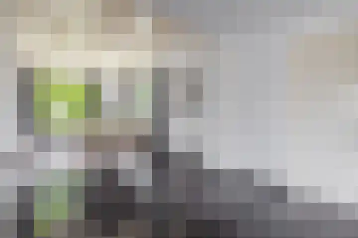 Parallelweg 23 Bellingwolde thumbnail 22