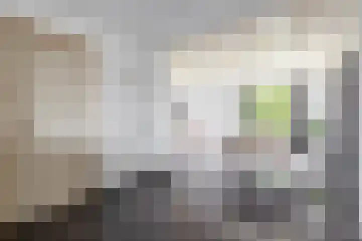 Parallelweg 23 Bellingwolde thumbnail 23