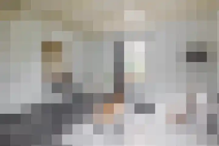 Parallelweg 23 Bellingwolde thumbnail 27