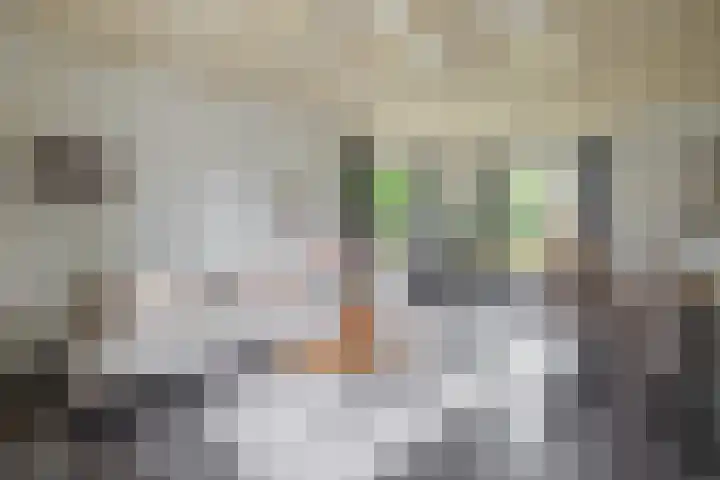 Parallelweg 23 Bellingwolde thumbnail 29
