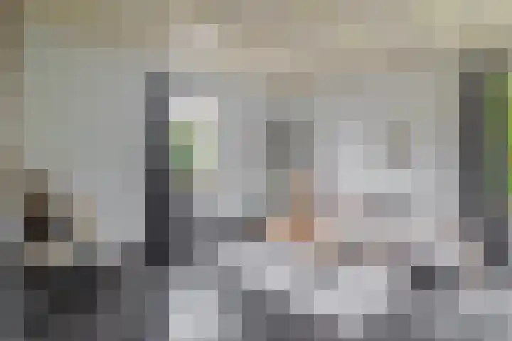 Parallelweg 23 Bellingwolde thumbnail 30