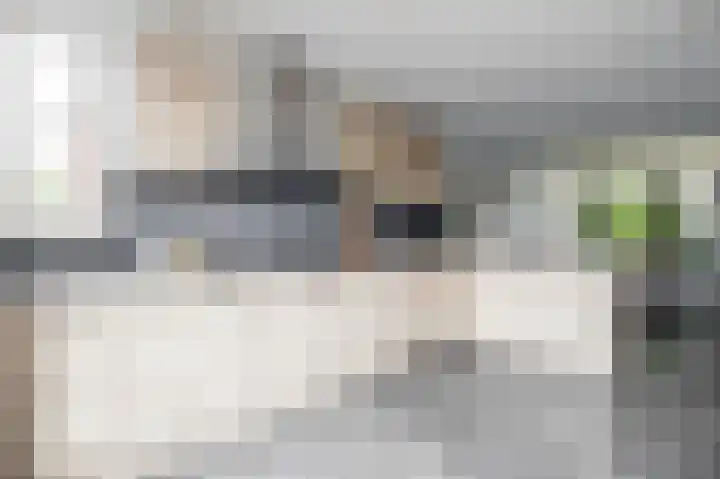 Parallelweg 23 Bellingwolde thumbnail 34