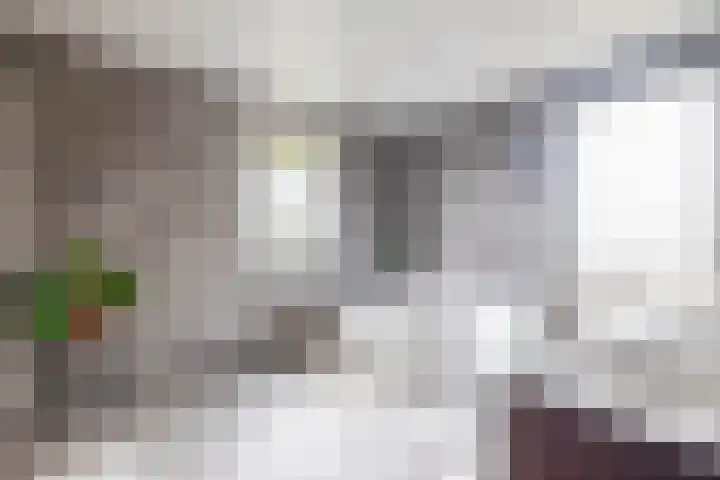 Parallelweg 23 Bellingwolde thumbnail 39