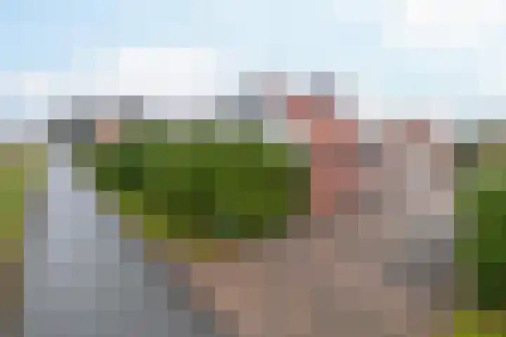 Parallelweg 23 Bellingwolde thumbnail 4