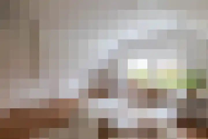 Parallelweg 23 Bellingwolde thumbnail 46