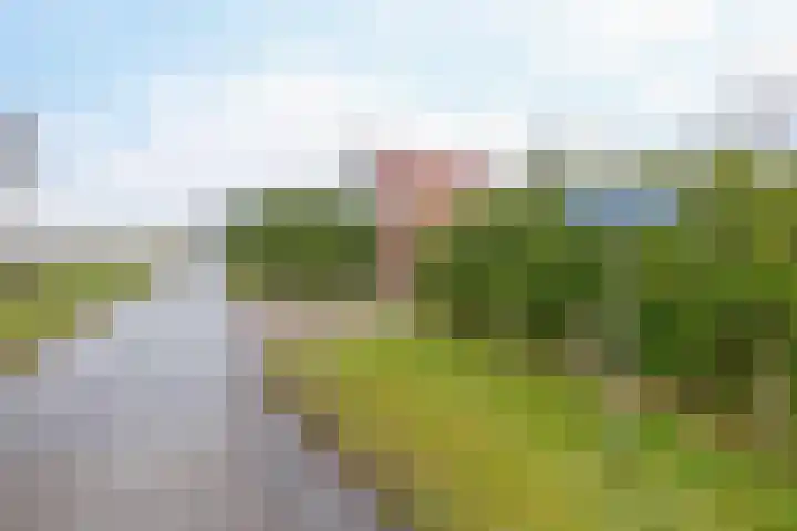 Parallelweg 23 Bellingwolde thumbnail 5