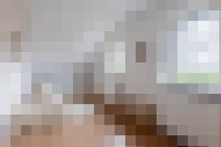 Parallelweg 23 Bellingwolde thumbnail 53