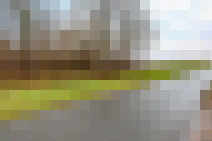 Parallelweg 23 Bellingwolde thumbnail 6