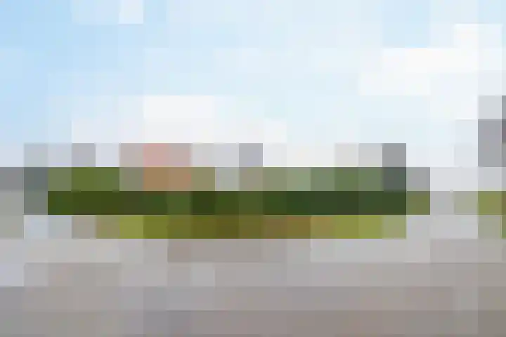 Parallelweg 23 Bellingwolde thumbnail 7