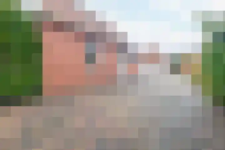 Parallelweg 23 Bellingwolde thumbnail 8