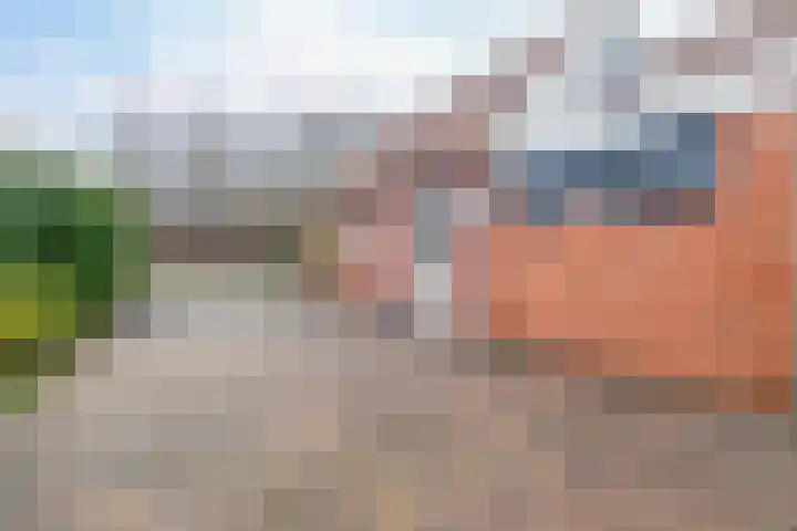 Parallelweg 23 Bellingwolde thumbnail 9