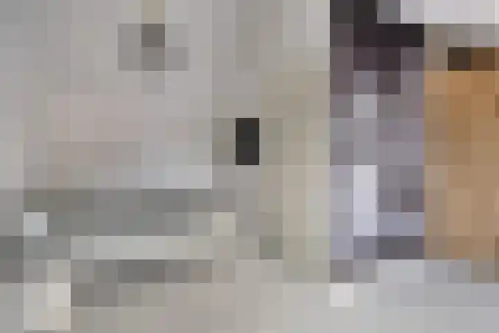 Parallelweg 23 Valkenburg thumbnail 20