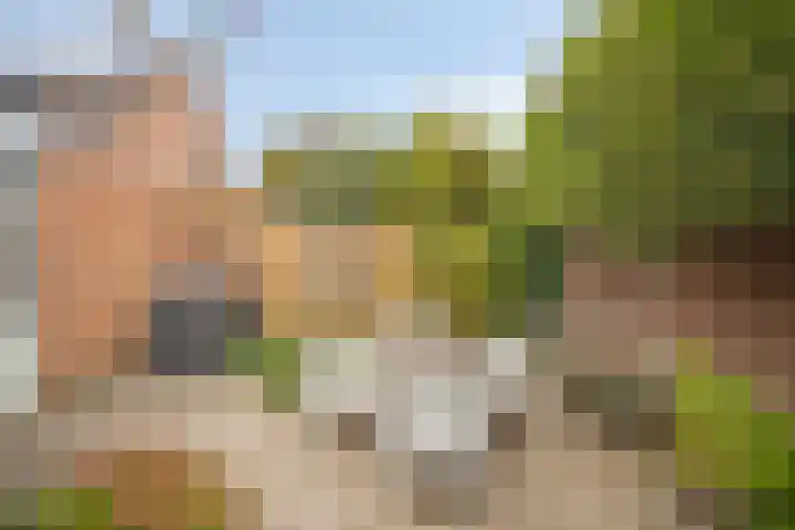 Parallelweg 23 Valkenburg thumbnail 27