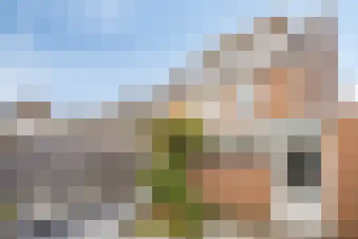 Parallelweg 23 Valkenburg thumbnail 28