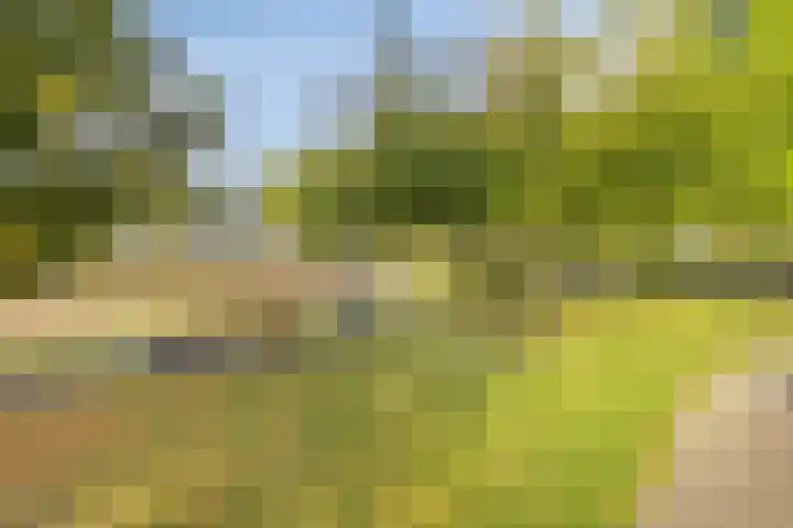 Parallelweg 23 Valkenburg thumbnail 29