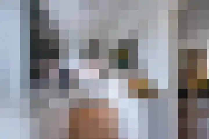 Parallelweg 247 Heerlen thumbnail 10