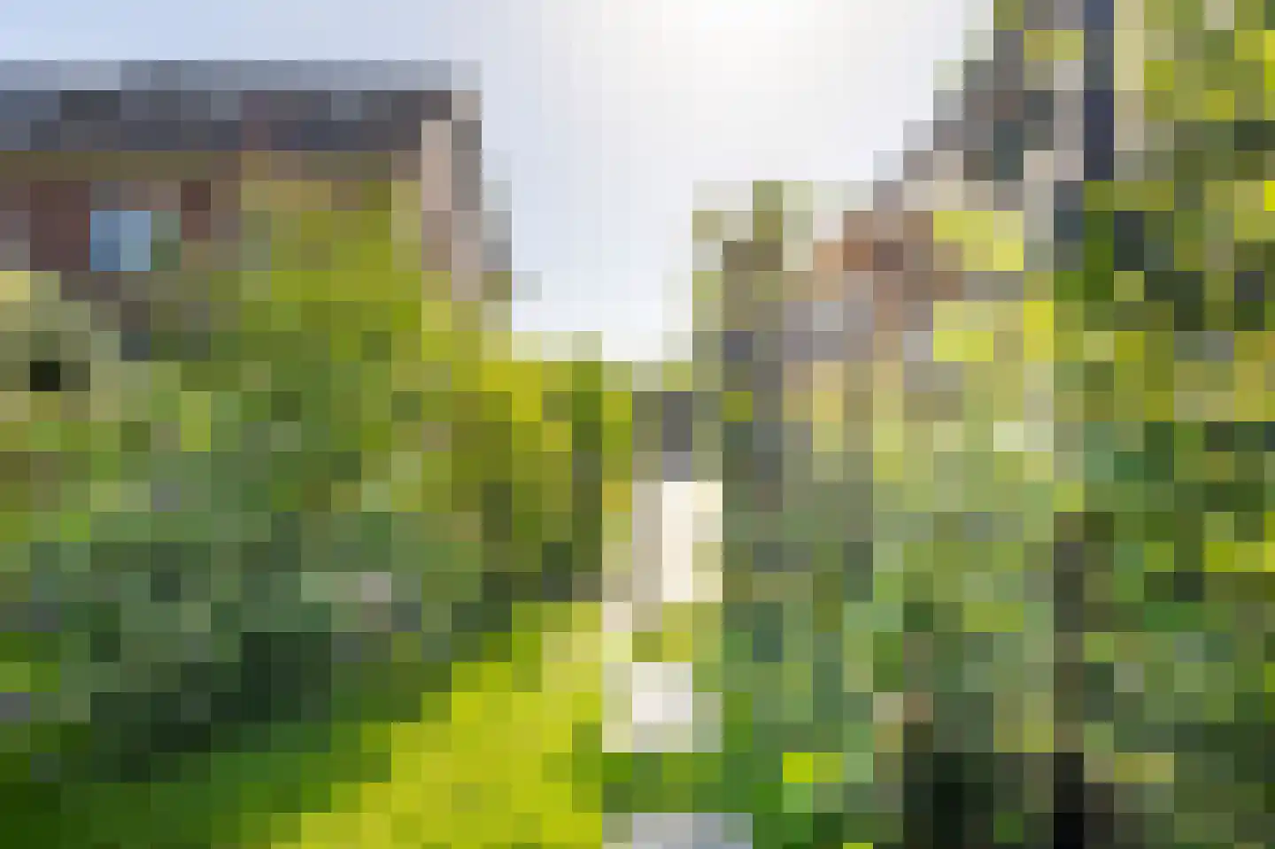Parallelweg 25 C Hardinxveld-Giessendam thumbnail 31