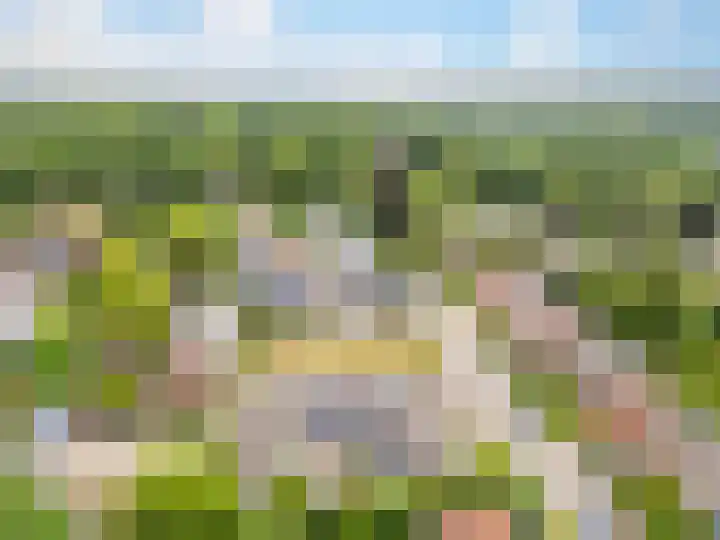Parallelweg 25 Heelsum thumbnail 33