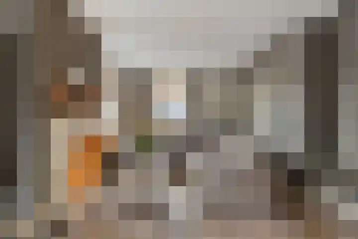 Parallelweg 25 Opheusden thumbnail 10