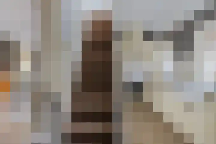 Parallelweg 25 Opheusden thumbnail 11