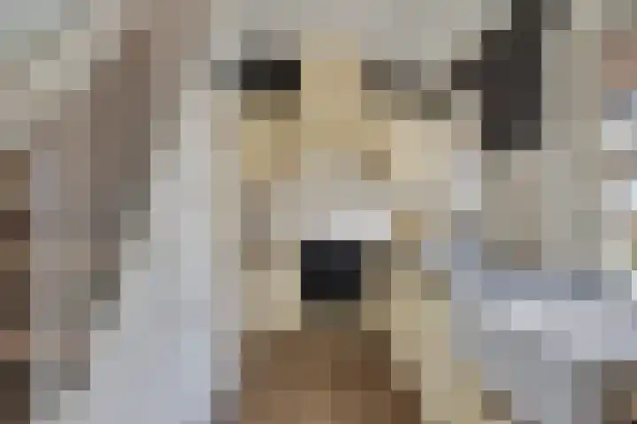 Parallelweg 25 Opheusden thumbnail 14
