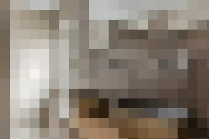 Parallelweg 25 Opheusden thumbnail 26
